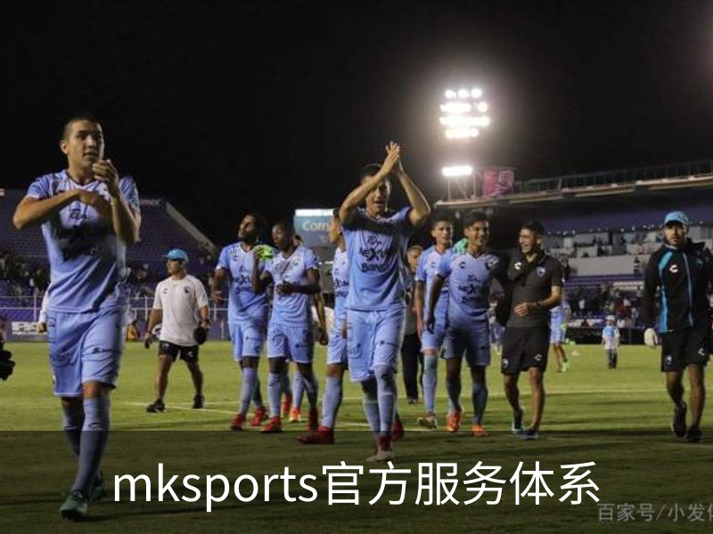mksports官方服务体系简介